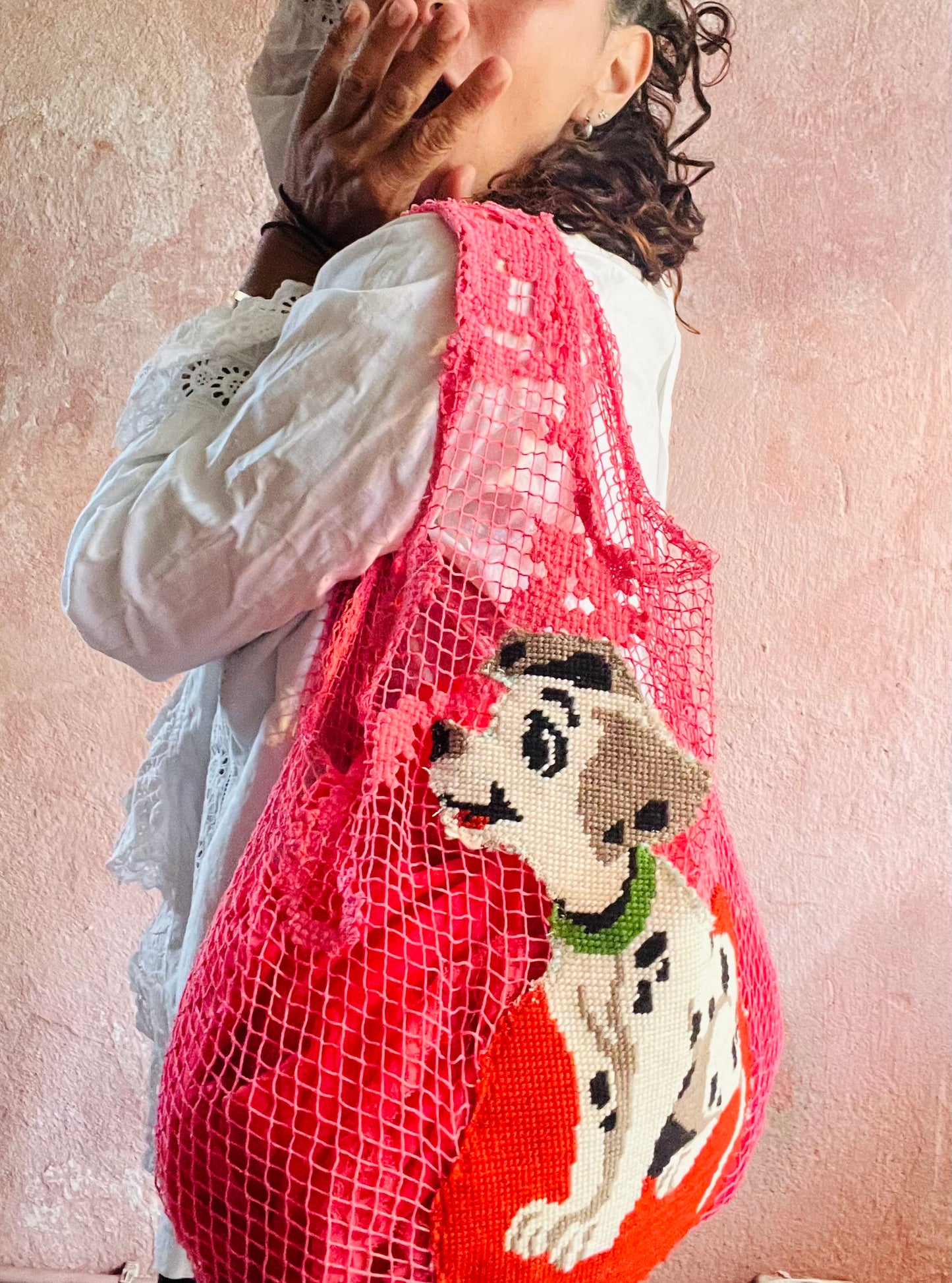 Bohème dalmata