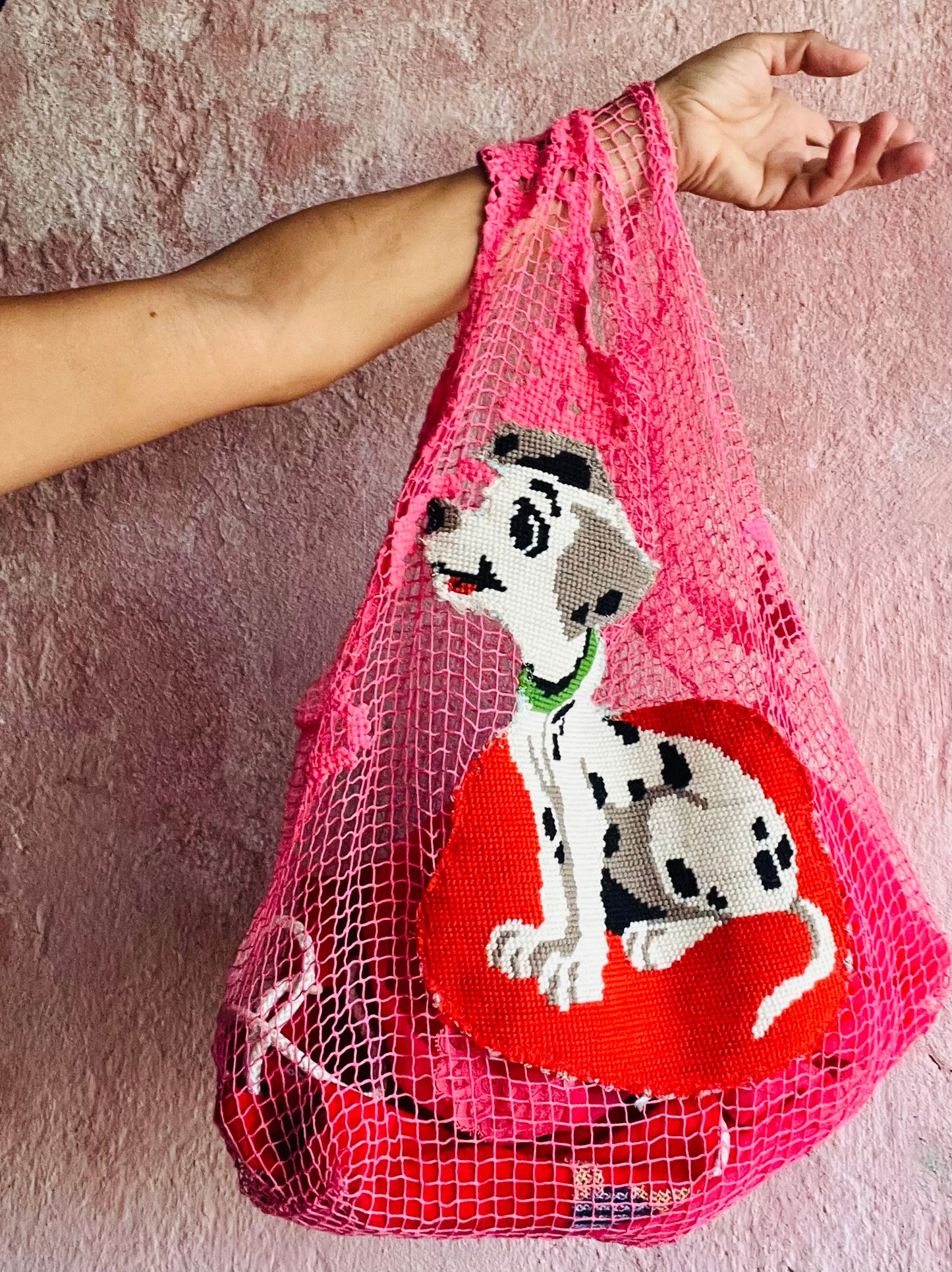 Bohème dalmata