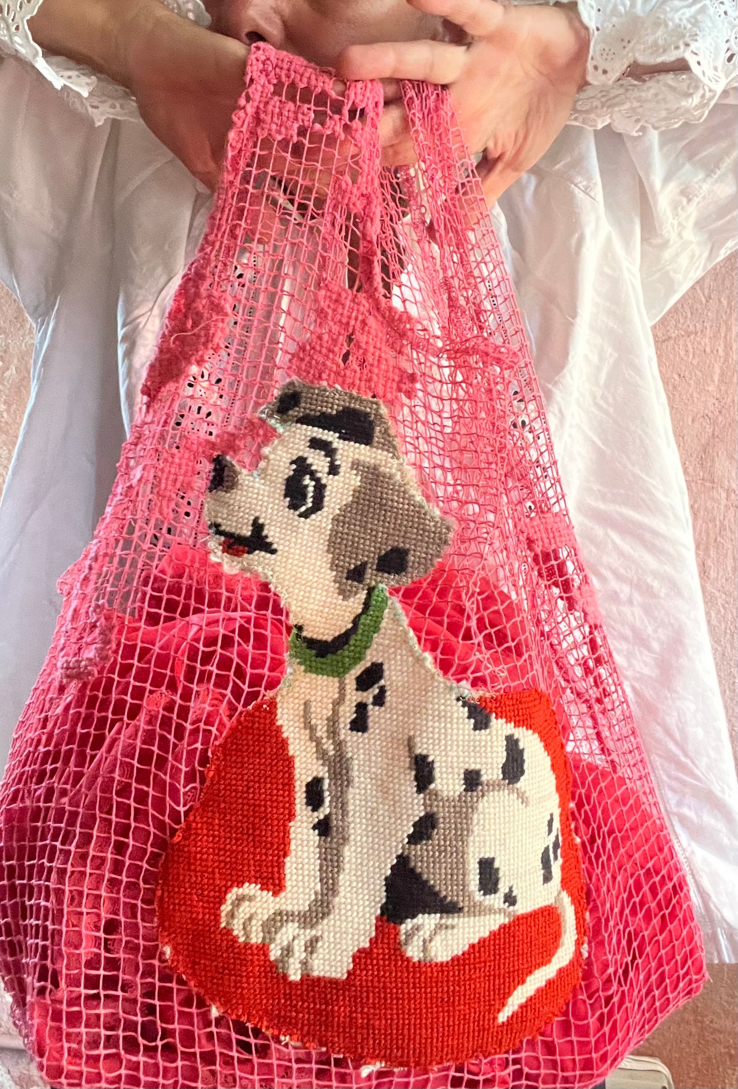 Bohème dalmata