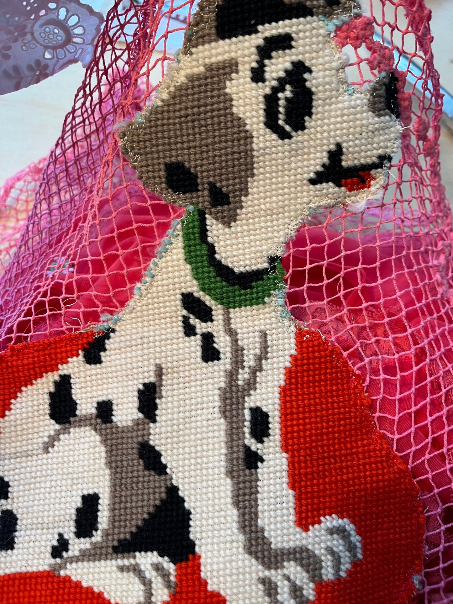 Bohème dalmata